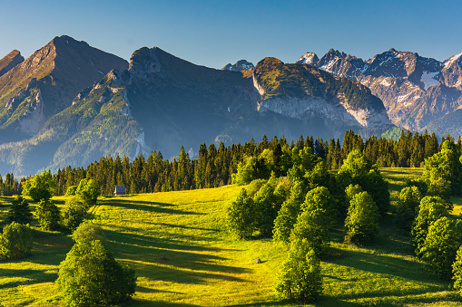 view of the High Tatras from Podhale in summer