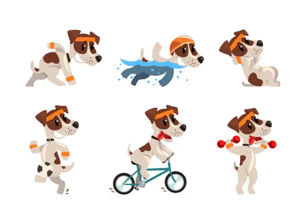 Vector illustration of Cute Sportive Jack Russell Terrier Running, Swimming, Cycling and Playing Ball Vector Set