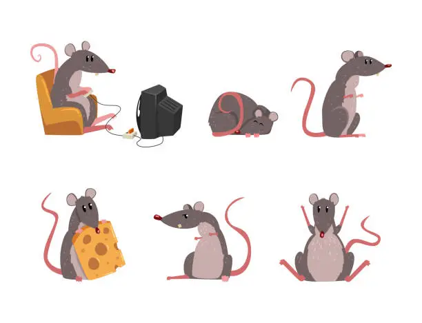 Vector illustration of Funny Rat as Long-tailed Rodent Engaged in Different Activity Vector Set