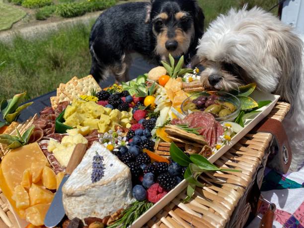 istock Charcuterie Board with dog 1471937503