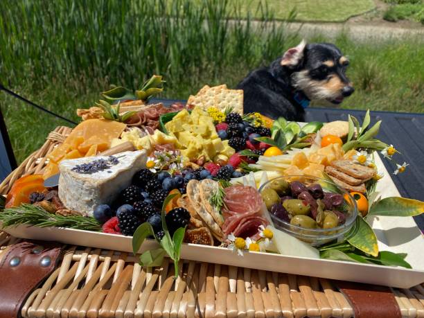 istock Charcuterie Board with dog 1471937513