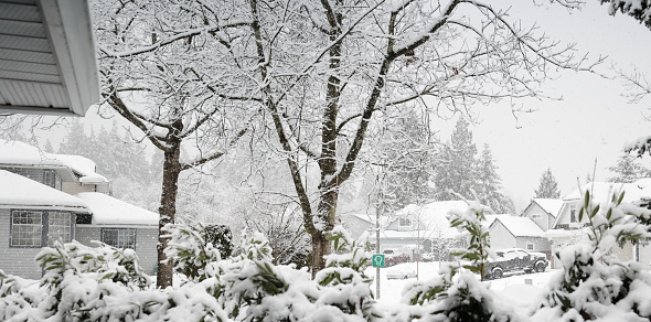Snow in a residential neighbourhood in Metro Vancouver. Detached houses stand behind a green and white cul-de-sac road sign at a street intersection. Morning in late February.