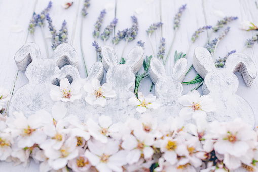 Beautiful close up of an Easter flat lay of bright wooden vintage easter bunny shapes with almond blossoms and lavender. Color editing with added grain. Very selective and soft focus. Part of a series.