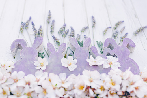 Beautiful close up of an Easter flat lay of rustic purple wooden vintage easter bunny shapes with almond blossoms and lavender. Color editing with added grain. Very selective and soft focus. Part of a series.