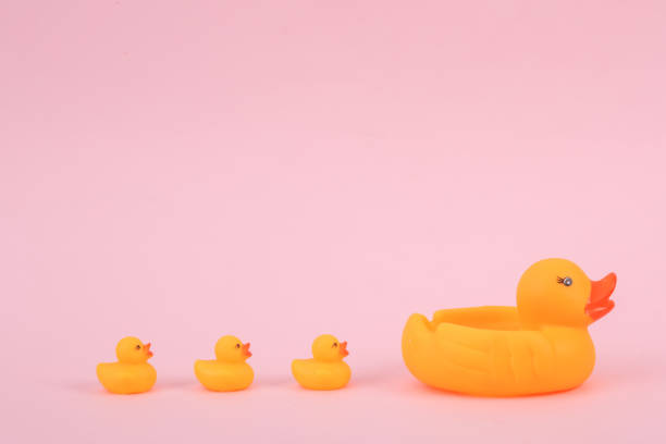 istock Rubber mother duck with ducklings on a pink background 1471941662