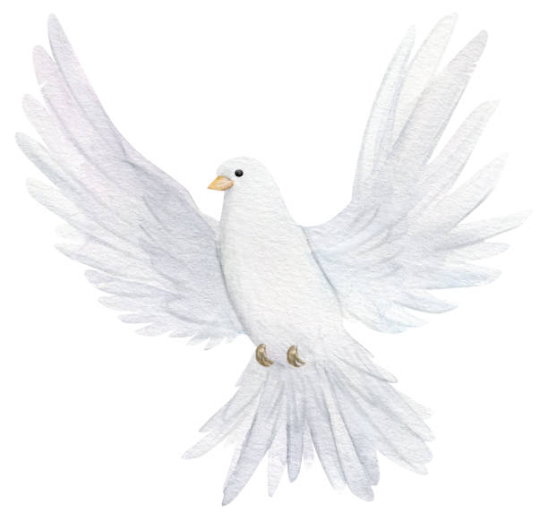 istock Watercolor white dove. Hand drawn watercolor illustration. decorative design elements. 1471941667