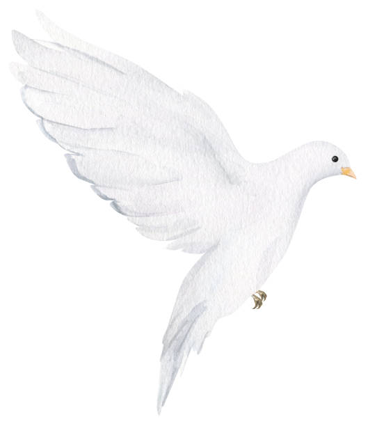 istock Watercolor white dove. Hand drawn watercolor illustration. decorative design elements. 1471941679