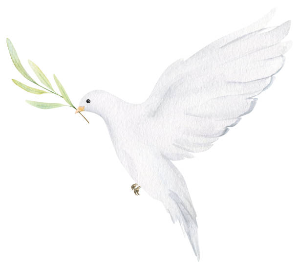 istock Watercolor white dove. Hand drawn watercolor illustration. decorative design elements. 1471941689
