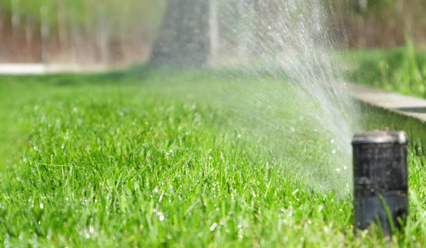 istock A water sprayer waters a lush green lawn on a sunny day. 1471944903