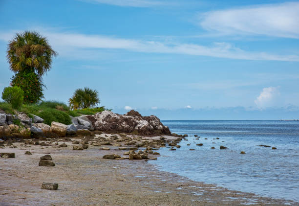 Beach coastline of Fred Howard Park, Florida and the Gulf of Mexico waters