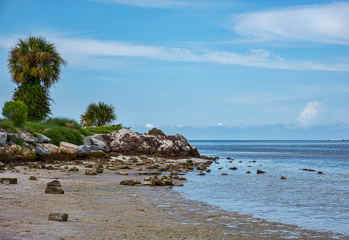 Beach coastline of Fred Howard Park, Florida and the Gulf of Mexico waters