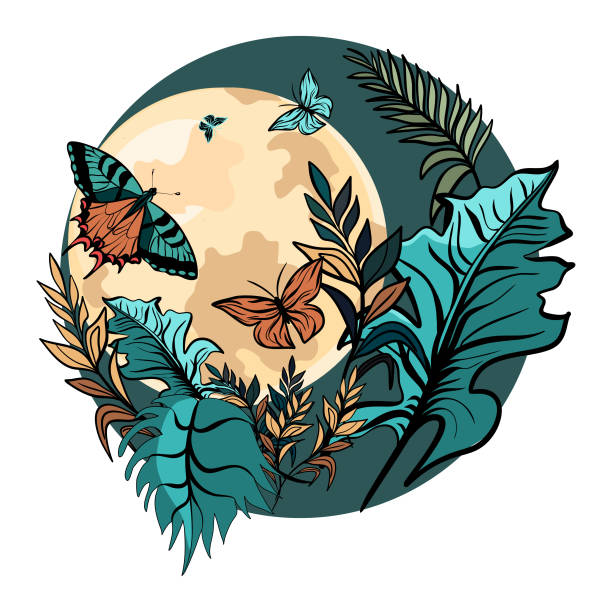 ilustrações de stock, clip art, desenhos animados e ícones de tropical plants and butterflies with moonlight - rainforest tropical rainforest forest moonlight