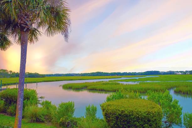 istock Marsh Sunrise- Hilton Head, South Carolina 1471949232