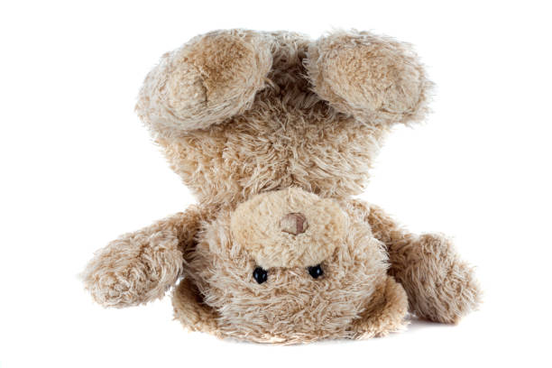 istock Funny Teddy Bear turned upside down isolated on white background 1471957332