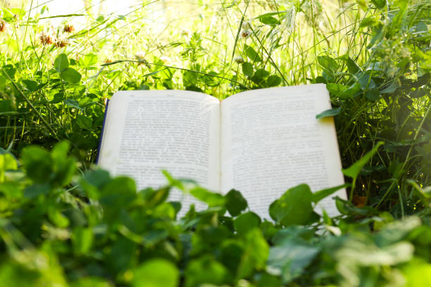 istock Open book on green grass in garden 1471958175