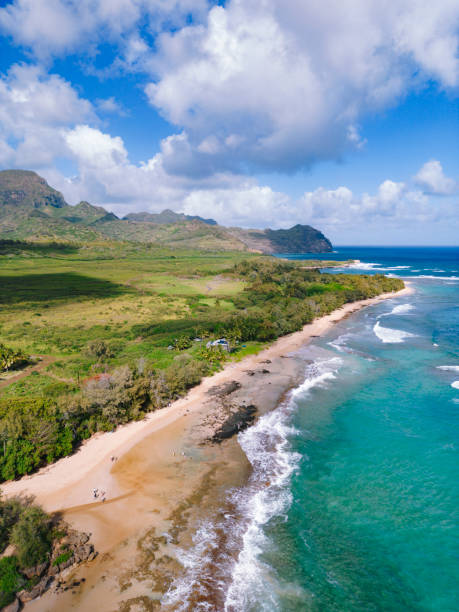 マハウレプギリンズビーチの空中 人里離れたビーチ カロアカウアイ島 ハワイ アメリカ - mahaulepu beach ストックフォトと画像