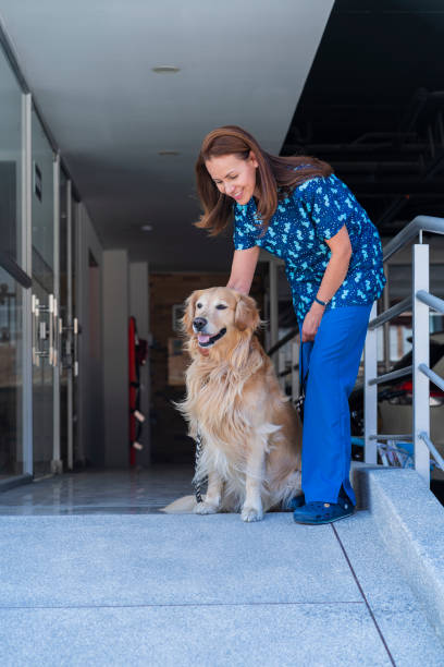 uma funcionária de uma casa está na entrada do prédio, eles levam o animal de estimação da família para passear - dog multi ethnic group people one person - fotografias e filmes do acervo