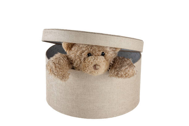 istock Toy Teddy Bear in box isolated white background 1471959706