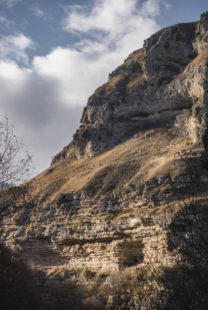 바위 절벽과 가파른 산비탈, 산에 자란 초목, 시트 바위의 질감 - sheeted 뉴스 사진 이미지