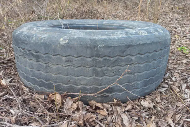 Old tire on the ground in the park. Close up view.