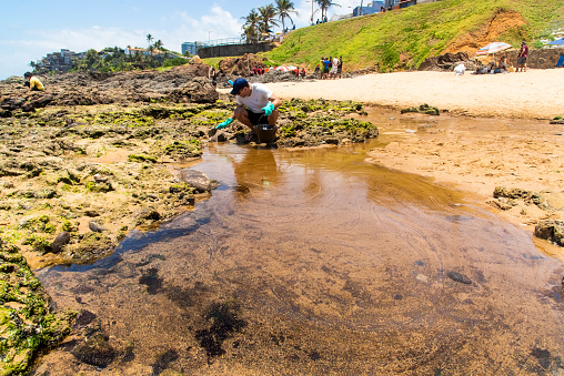 Salvador, Bahia, Brazil - October 27, 2019: Volunteers are seen cleaning up Rio Vermelho beach after an oil spill from a ship off the Brazilian coast. Salvador, Bahia.
