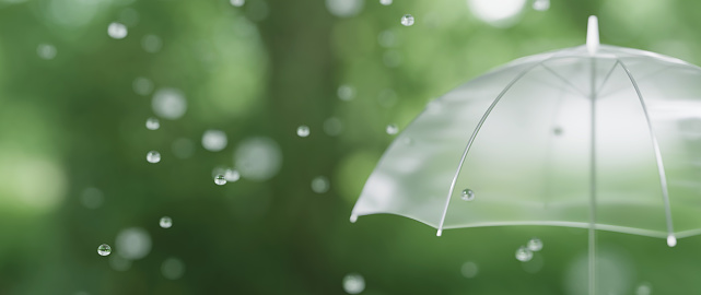 3D Illustration.Transparent umbrellas on a background of trees and leaves. Image of rain. Image of rainy season, rain.