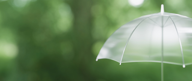 3D Illustration.Transparent umbrellas on a background of trees and leaves. Image of rainy season, rain. After the rain.