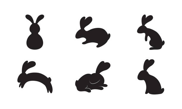 ilustraciones, imágenes clip art, dibujos animados e iconos de stock de conjunto de conejos o conejitos de silueta aislados sobre fondo blanco, ilustración vectorial - bunny girl