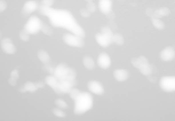 istock Abstract shadow of leaves on a white wall background 1471994746