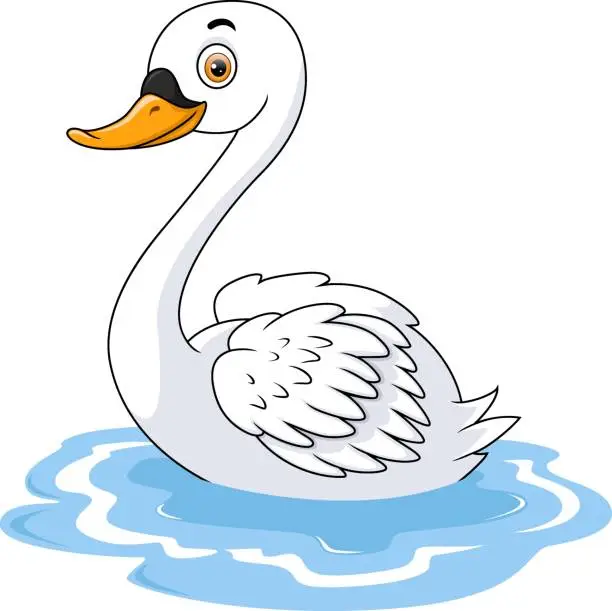 Vector illustration of Cute swan cartoon on white background