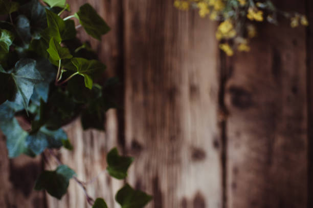 Lay flat of a wood backdrop with ivy and yellow flowers