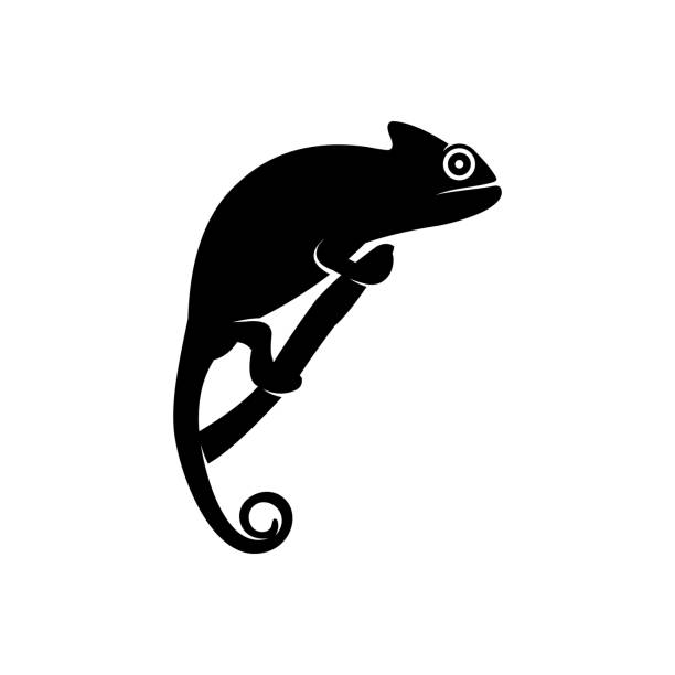 chameleon vector logo chameleon vector logo chameleon icon stock illustrations