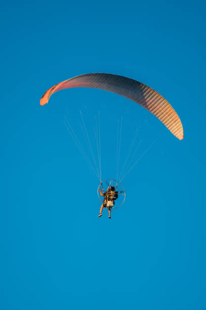 paragliding in the sky sport Miami Beach paragliding in the sky sport Miami Beach in Miami Beach, Florida, United States miami parachuting stock pictures, royalty-free photos & images