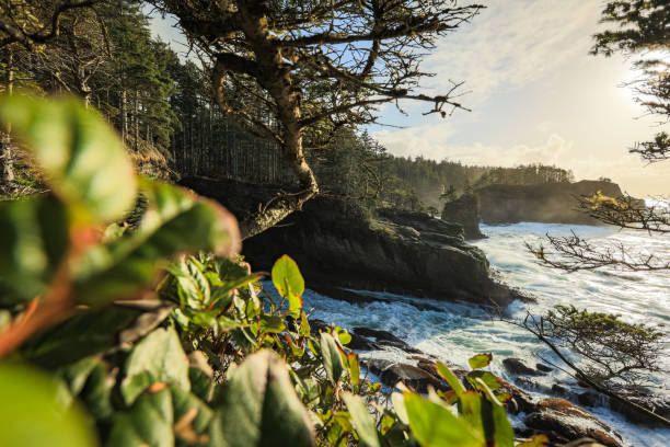 istock Washington Coast Ocean Landscape Epics 1472003771