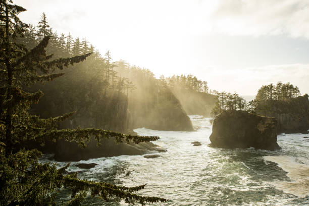 istock Washington Coast Ocean Landscape Epics 1472003774