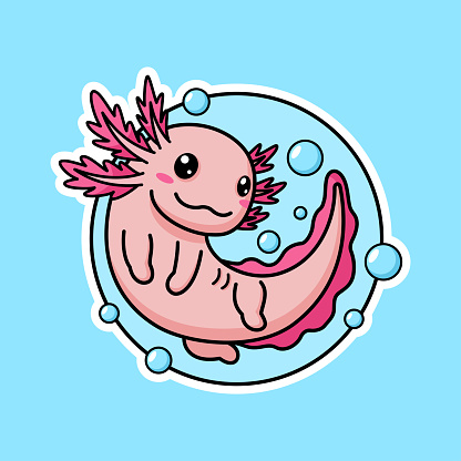 Cute Axolotl Cartoon Character Premium Vector Graphics In Stickers Style