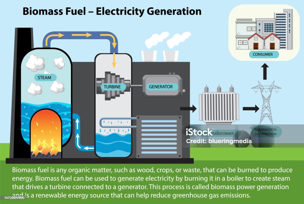 Gas Menjadi Api Diagram Pembangkit Listrik Bahan Bakar Biomassa Ilustrasi Stok - Unduh ...