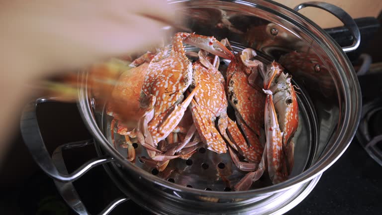 Woman boiling blue crabs in a steamer in the kitchen