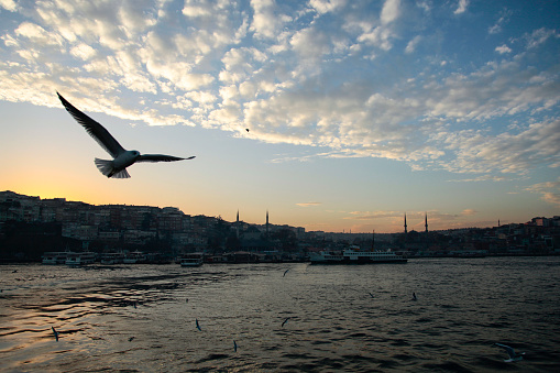 Blue Mosque (Sultanahmet Cami) and Hagia Sofya (Ayasofya Cami) Photo, Fatih Istanbul, Turkiye