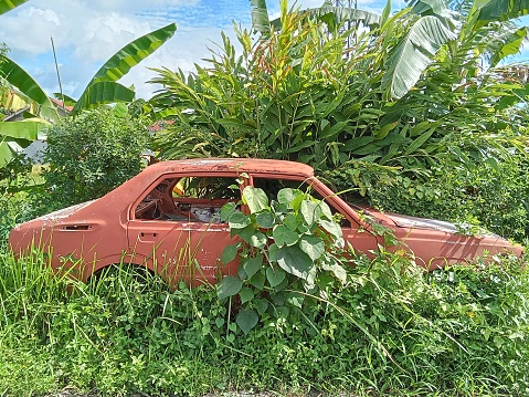 A broken and old car was left in the bushes
