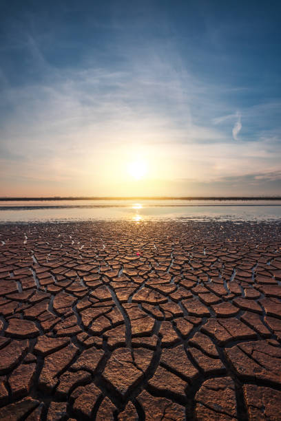 istock Cracked Earth Pattern Texture and lake at sunrise 1472021765