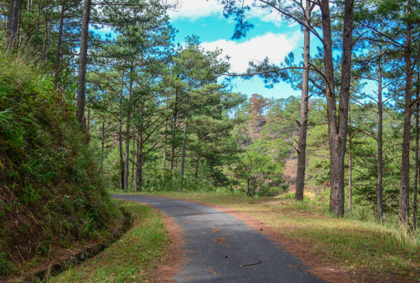 istock Mountain road in Dalat, Vietnam 1472021780