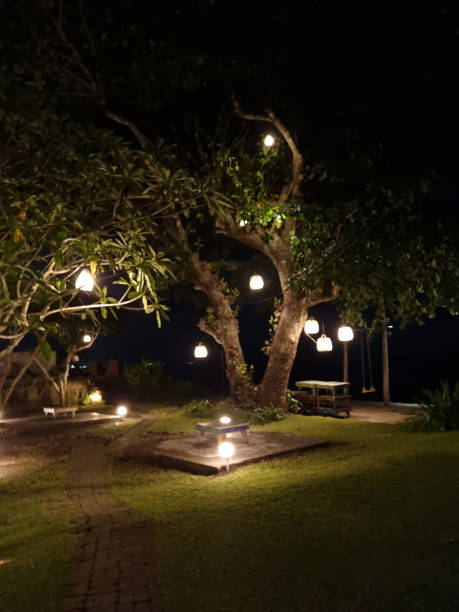 istock garden scene at night 1472024085