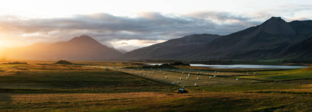 istock Farmlands of Iceland 1472024984