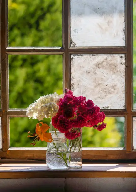 Smooth hydrangea, Yellow day lily and Musk rose (Dorothy Perkins) flower on old window in ruin abandoned house summer time