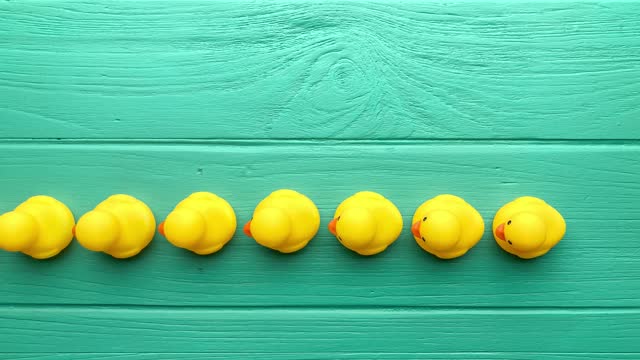 Stop motion video of many yellow rubber ducks entering a scene in a straight row or line, then one duck breaks rank and moves away from the line and a hand comes down and grabs the duck placing it back in line and then the line of ducks leave the scene.