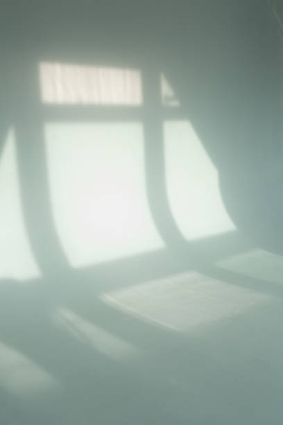 window shadow on a sunny day on a white wall.