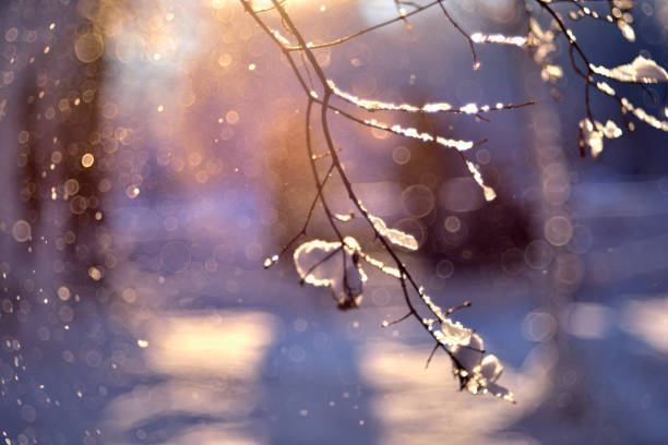 Magical winter blurred bokeh light background with snow, snow flakes and soft bokeh beautiful lights, cold backdrop for Christmas. Abstract winter snow Christmas and New Year holidays background.