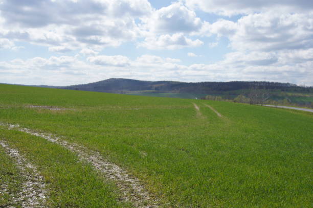 istock View of forest and meadow 11 1472034457