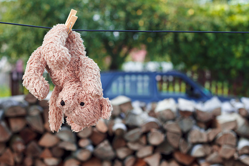 Toy bear hanging on a clothesline in summer yard.